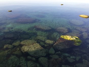 Aerial view of sea and rocks