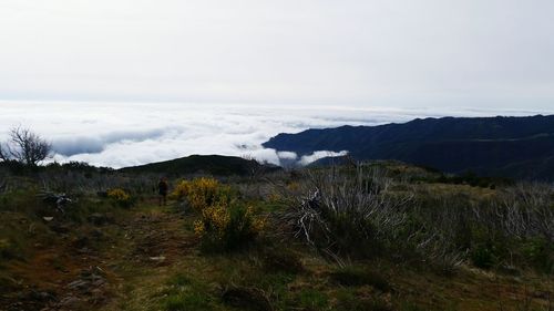 Scenic view of landscape