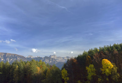 Scenic view of trees and mountains against sky