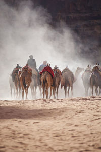 Man riding horses in desert against sky