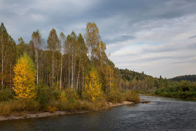 Scenic view of river amidst trees against sky