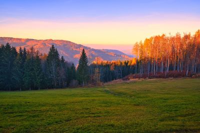 Scenic view of landscape against sky during sunset