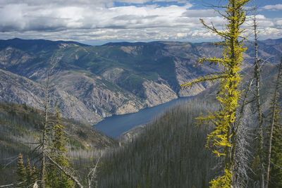 Lake chelan surrounded by mountains and dead trees