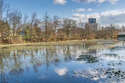 Trees reflection in pond against sky