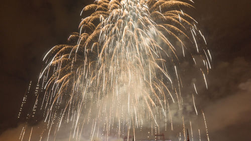 Low angle view of firework display at night