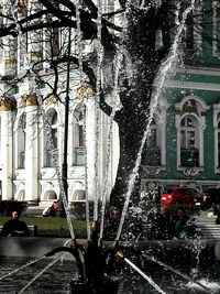 Statue by trees in city