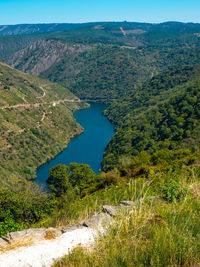 Scenic view of river amidst trees
