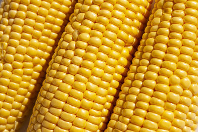 Full frame shot of corn