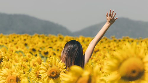 Young woman walking in blooming sunflower field throwing hat up and having fun. summer vacation