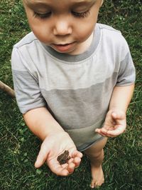 High angle view of toddler holding frog