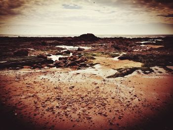 Scenic view of beach against sky