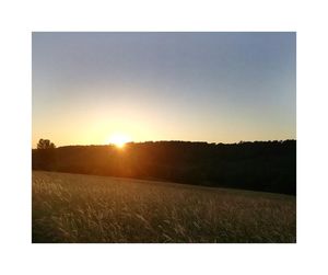 Scenic view of field against sky during sunset