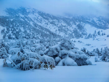 Scenic view of snowcapped mountains