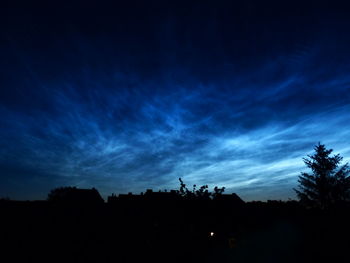 Low angle view of silhouette trees against sky at night