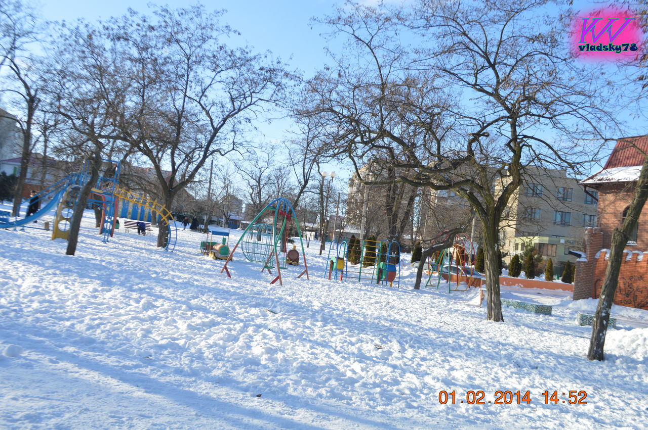 winter, snow, tree, cold temperature, bare tree, outdoors, nature, day, branch, large group of people, sky, beauty in nature, people