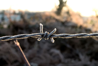Close-up of barbed wire against sky