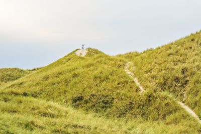 Scenic view of grassy field against clear sky