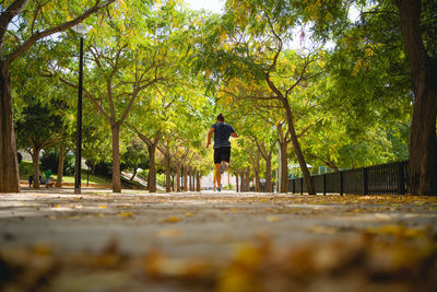 Rear view of woman walking on footpath amidst trees