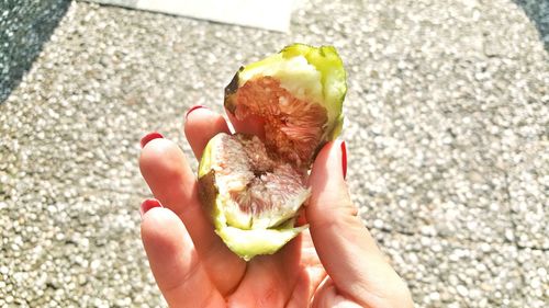 Close-up of hand holding fruit