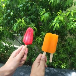 Close-up of hand holding fruits