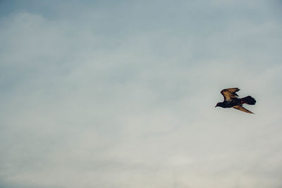sky