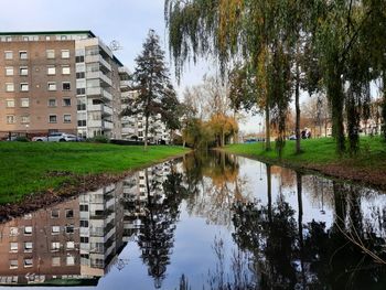 Reflection of trees and buildings in lake