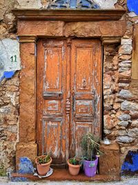 Potted plants on old building