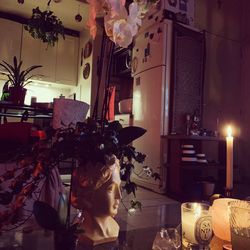 View of illuminated potted plant on table at home