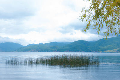 Scenic view of lake against sky