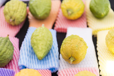 Sukkot four species festival. etrog citrus on a colorful background