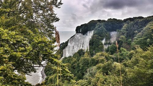 Scenic view of waterfall in forest against sky
