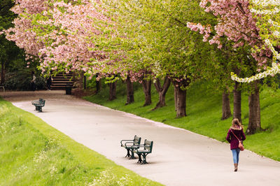Young woman walking in a park in spring
