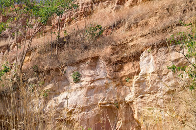 Rock formation on land