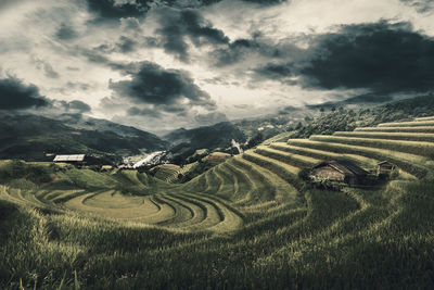 Scenic view of agricultural field against sky