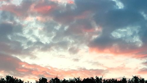 Low angle view of silhouette trees against dramatic sky