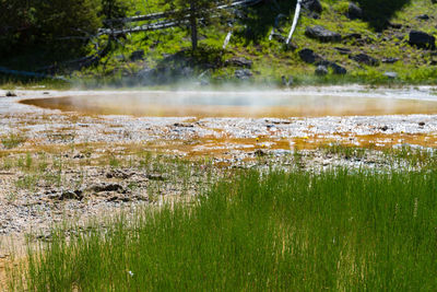 Scenic view of lake