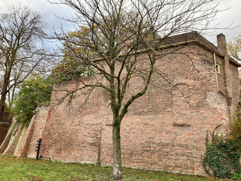 Low angle view of bare tree against building