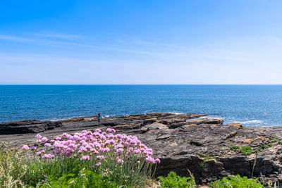 Scenic view of blue sea against sky