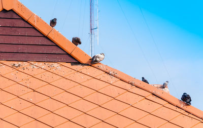 Low angle view of roof and building against sky