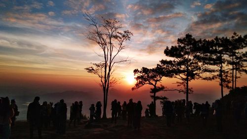 Silhouette trees against sky during sunset