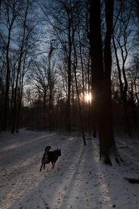 Snow covered landscape at sunset