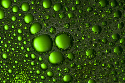 Full frame shot of wet green water