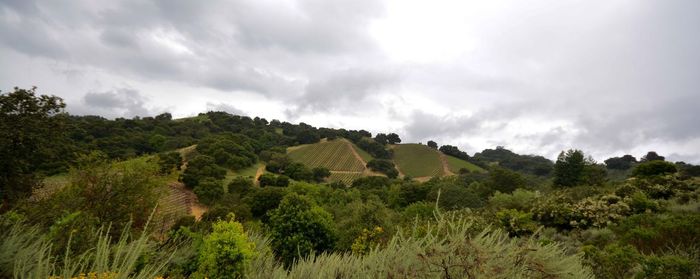 Scenic view of landscape against cloudy sky