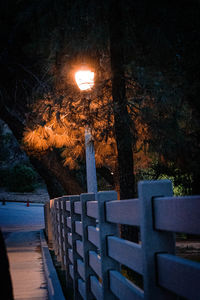 Illuminated street light by trees at night