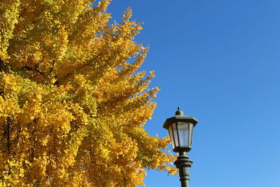 Low angle view of street light against blue sky