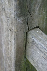 Close-up of wooden door