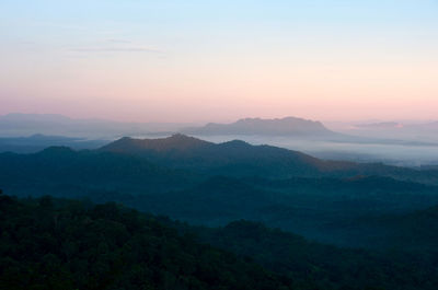 Beautiful mist in the morning green forest.
