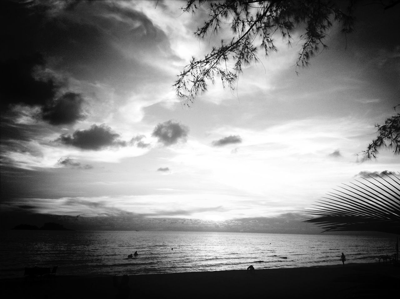 sea, sky, horizon over water, beach, water, tranquility, tranquil scene, scenics, beauty in nature, shore, cloud - sky, nature, silhouette, sand, idyllic, sunset, cloud, tree, cloudy, outdoors