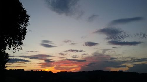 Silhouette of trees at sunset