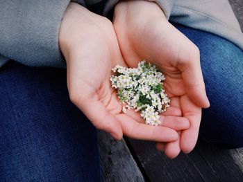 Midsection of woman holding white flowers while crouching on wooden floor